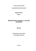 Konspekts 'Medijpratības kampaņa 1.-4.klašu skolēniem', 1.