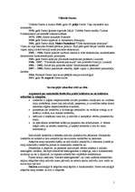 Konspekts 'Vilfredo Pareto', 1.