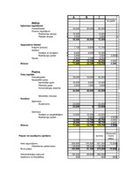 Konspekts 'Konsolidētais finanšu pārskats', 1.
