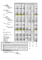 Konspekts 'Konsolidētais finanšu pārskats', 5.