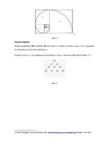 Referāts 'Fibonači skaitļu virkne', 13.