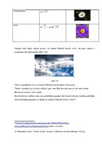 Referāts 'Fibonači skaitļu virkne', 18.