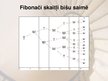 Referāts 'Fibonači skaitļu virkne', 32.
