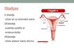 Prezentācija 'Dzemdes ķermeņa jeb endometrija vēzis', 9.