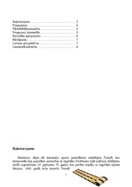 Referāts 'Olimpisko spēļu dienasgrāmata. Skeletons', 2.