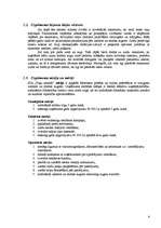 Biznesa plāns 'SIA "Puķu smaids"', 4.