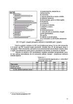 Biznesa plāns 'SIA "Puķu smaids"', 13.