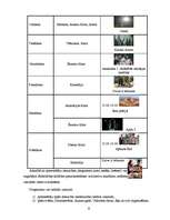 Biznesa plāns 'Biznesa plāns "Kino-kafe"', 8.