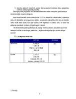 Biznesa plāns 'Biznesa plāns "Kino-kafe"', 9.