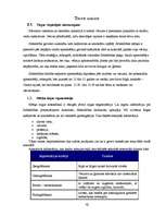 Biznesa plāns 'Biznesa plāns "Kino-kafe"', 10.