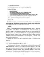 Biznesa plāns 'Biznesa plāns "Kino-kafe"', 12.