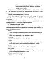 Biznesa plāns 'Biznesa plāns "Kino-kafe"', 21.