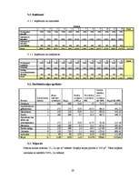 Biznesa plāns 'Biznesa plāns "Kino-kafe"', 25.