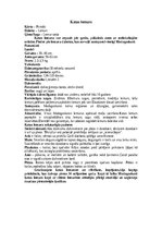 Konspekts 'Lemuri', 4.