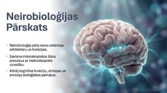 Prezentācija 'Neirobioloģijas pārskats', 1.