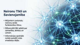 Prezentācija 'Neirobioloģijas pārskats', 9.