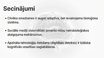 Prezentācija 'Neirobioloģijas pārskats', 14.