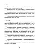 Referāts 'Latvijas ekonomisko resursu raksturojums', 6.