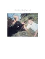 Referāts 'Gordonseters un viņa dzīvesveids', 40.