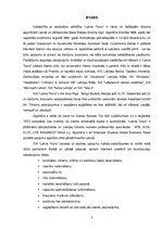 Referāts 'SIA "LatviaTours" finanšu analīze 2014.-2016.gadam', 3.