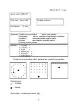 Referāts 'Karatē trenera diplomprojekts', 34.