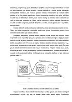 Referāts 'Fizikālā materiālzinība', 19.