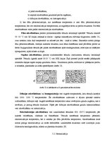 Referāts 'Fizikālā materiālzinība', 22.