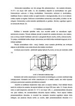 Referāts 'Fizikālā materiālzinība', 23.