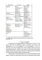 Referāts 'Fizikālā materiālzinība', 33.