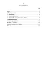 Referāts 'Maksātnespēja', 2.