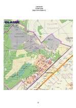 Referāts 'Olaines vides piesārņojums', 19.