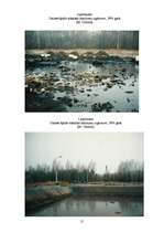 Referāts 'Olaines vides piesārņojums', 21.