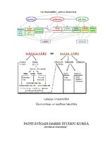 Referāts 'Sistēmiskā domāšana', 2.