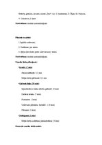 Konspekts 'Latviešu valodas stundas konspekts', 2.