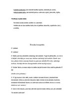 Konspekts 'Latviešu valodas stundas konspekts', 3.