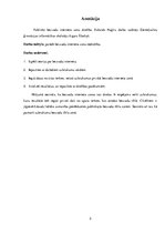 Referāts 'Publisko bezvadu interneta zonu drošība', 2.