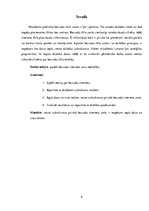 Referāts 'Publisko bezvadu interneta zonu drošība', 5.