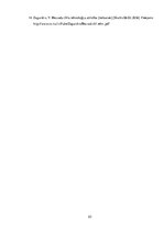 Referāts 'Publisko bezvadu interneta zonu drošība', 23.