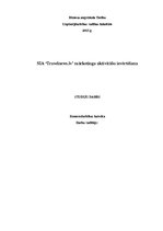 Referāts 'Travelnews.lv mārketinga aktivitāšu izvērtēšana', 1.