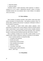 Referāts 'Travelnews.lv mārketinga aktivitāšu izvērtēšana', 16.