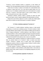 Referāts 'Travelnews.lv mārketinga aktivitāšu izvērtēšana', 29.