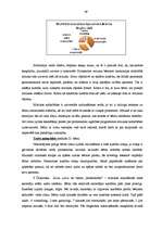 Diplomdarbs 'Pirmsskolas vecuma bērnu mūzikas klausīšanās prasmju attīstība', 49.