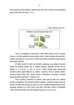 Diplomdarbs 'Pirmsskolas vecuma bērnu mūzikas klausīšanās prasmju attīstība', 50.