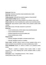 Diplomdarbs 'Pirmsskolas vecuma bērnu mūzikas klausīšanās prasmju attīstība', 76.