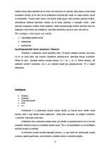 Referāts 'Kredītiestāžu piedāvājums kredītkaršu jomā, to priekšrocības un trūkumi', 12.