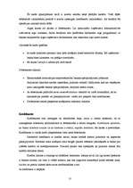 Referāts 'Kredītiestāžu piedāvājums kredītkaršu jomā, to priekšrocības un trūkumi', 13.