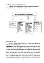 Referāts 'Kredītiestāžu piedāvājums kredītkaršu jomā, to priekšrocības un trūkumi', 19.