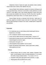 Referāts 'Kredītiestāžu piedāvājums kredītkaršu jomā, to priekšrocības un trūkumi', 41.