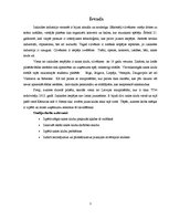 Referāts 'Nakts klubu biznesa neveiksmes un to analīze Preiļos', 3.