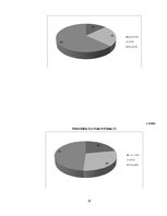 Referāts 'Nakts klubu biznesa neveiksmes un to analīze Preiļos', 20.